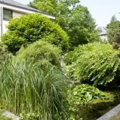 Отель B&B Côté Jardin фото 6