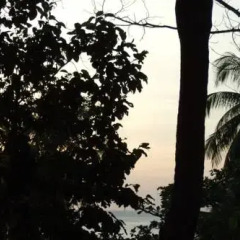 Отель Jungle House at Siboya Bungalows пляж