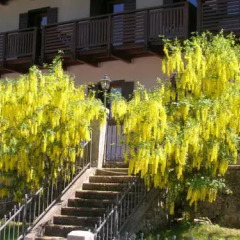 Отель Appartamenti Regina Dolomitissime фото 3