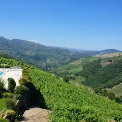 Отель Casa das Torres de Oliveira Португалия, Мезан-Фриу - отзывы, цены и фото номеров - забронировать отель Casa das Torres de Oliveira онлайн