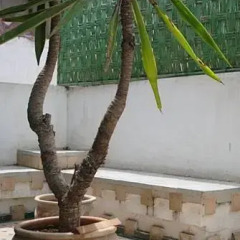 Отель Casablanca Sweet Home - City Center