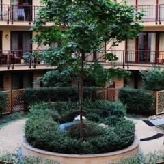Апартаменты King Apartments