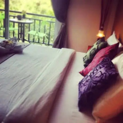 Отель Riley's Guest House