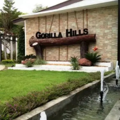 Отель Gorilla Hills бассейн фото 3