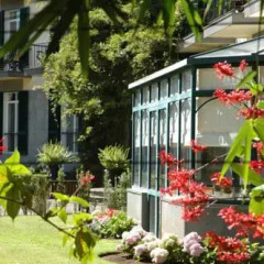 Отель Quinta da Bela Vista Португалия, Фуншал - отзывы, цены и фото номеров - забронировать отель Quinta da Bela Vista онлайн фото 8