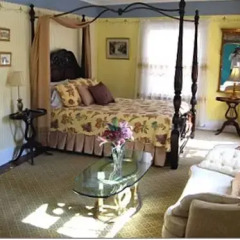 Отель The Elizabeth House Bed and Breakfast США, Ниагара-Фолс - отзывы, цены и фото номеров - забронировать отель The Elizabeth House Bed and Breakfast онлайн комната для гостей фото 3