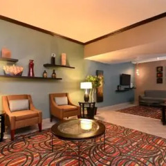 wyndham garden schaumburg chicago northwest churchville united states of america zenhotels - Wyndham Garden Schaumburg Chicago Northwest wyndham garden schaumburg chicago northwest churchville united states of america zenhotels - Wyndham Garden Schaumburg Chicago Northwest