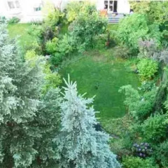 Отель Pokoje Gościnne Jaz фото 2