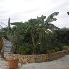 Отель B&B Terra Marique Сиракуза фото 6
