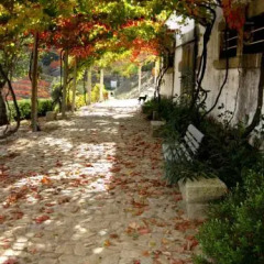Отель Quinta de Santo António de Adorigo фото 9