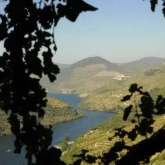 Отель Quinta de Santo António de Adorigo пляж фото 2
