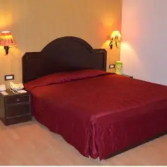Hotel Maharani Plaza комната для гостей фото 4