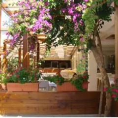 Alara Park Hotel Турция, Аланья - отзывы, цены и фото номеров - забронировать отель Alara Park Hotel онлайн фото 11