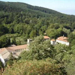 Отель La Foresta Реггелло фото 3
