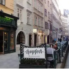 Апартаменты Vienna Old Town Apartments Вена развлечения