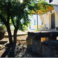Отель La Gineta Алькаудете фото 3
