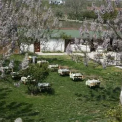 Отель Garden Camping Motel фото 6