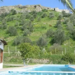 Отель Garden Camping Motel бассейн фото 2
