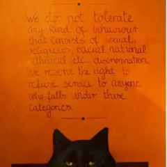 Stray Cat Hostel с домашними животными