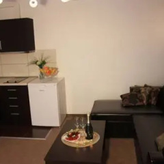 Апартаменты Vivulskio Vip Apartments Вильнюс в номере фото 2