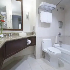 Отель Minto Suite Hotel Канада, Оттава - отзывы, цены и фото номеров - забронировать отель Minto Suite Hotel онлайн ванная