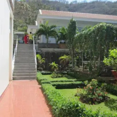 Отель Doi Dua Hotel Вьетнам, Вунгтау - отзывы, цены и фото номеров - забронировать отель Doi Dua Hotel онлайн фото 17