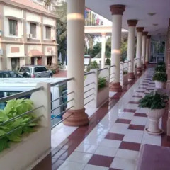 Отель Doi Dua Hotel Вьетнам, Вунгтау - отзывы, цены и фото номеров - забронировать отель Doi Dua Hotel онлайн фото 19