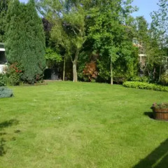 Отель Chalet Vinkeveen Нидерланды, Винкевеен - отзывы, цены и фото номеров - забронировать отель Chalet Vinkeveen онлайн фото 2