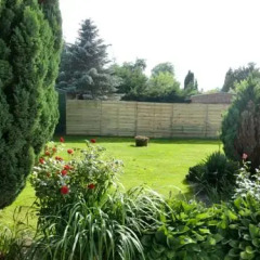 Отель Chalet Vinkeveen Нидерланды, Винкевеен - отзывы, цены и фото номеров - забронировать отель Chalet Vinkeveen онлайн фото 3