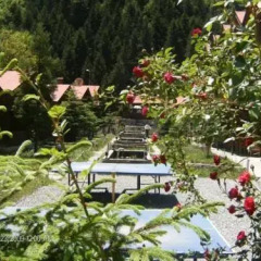 Ensar Hotel Турция, Узунгёль - отзывы, цены и фото номеров - забронировать отель Ensar Hotel онлайн фото 6