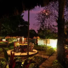 Отель Chitwan Forest Resort Непал, Саураха - отзывы, цены и фото номеров - забронировать отель Chitwan Forest Resort онлайн фото 3