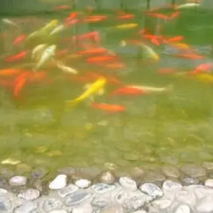 Noahs Hotel Suzhou фото 6