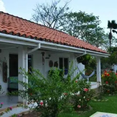 Отель Hosteria Mar y Sol Колумбия, Сан-Андрес - отзывы, цены и фото номеров - забронировать отель Hosteria Mar y Sol онлайн фото 8