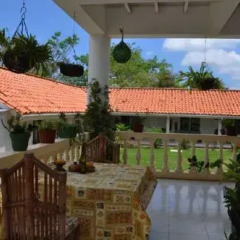 Отель Hosteria Mar y Sol Колумбия, Сан-Андрес - отзывы, цены и фото номеров - забронировать отель Hosteria Mar y Sol онлайн фото 3
