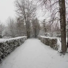Отель Agriturismo Boaria Bassa Кастель-д'Арио