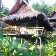 Отель Tenta Nakara Resort and Restaurant Таиланд, Ко-Нака-Яй - отзывы, цены и фото номеров - забронировать отель Tenta Nakara Resort and Restaurant онлайн фото 19