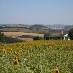 Отель Cortijo Barranco фото 5