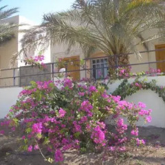 Darna Village Beach Hostel фото 12