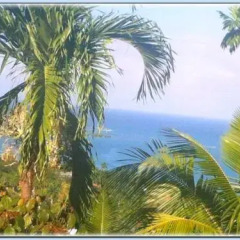 Отель My-Places Montego Bay Vacation Home пляж фото 2