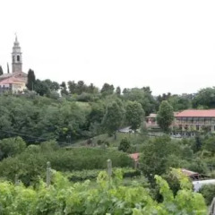 Отель Belvedere Resort Ai Colli Италия, Региональный парк Colli Euganei - отзывы, цены и фото номеров - забронировать отель Belvedere Resort Ai Colli онлайн фото 6