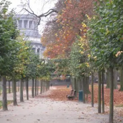 Отель B&B A Cote du Cinquantenaire пляж