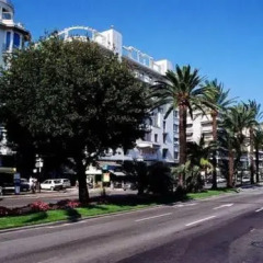 Отель Residence Nice Les Palmiers фото 8