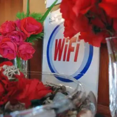 Point Hotel Conselve Консельве питание