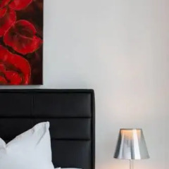 Апартаменты Business Y Holiday Apartments Zürich Цюрих удобства в номере фото 2