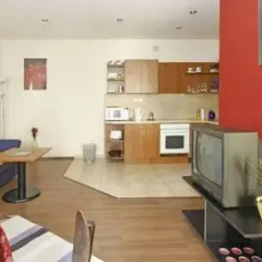 Апартаменты Palatinus Apartment в номере фото 2