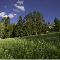 Отель Il Giardino Dell'Artemisia Грессан