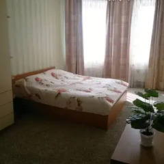 Апартаменты Apartments on Radishcheva комната для гостей фото 4