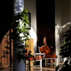 Отель Villa Merida питание фото 2