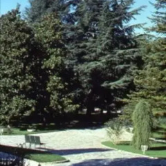 Hotel Massarelli Кьянчиано Терме фото 3