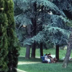 Hotel Massarelli Кьянчиано Терме фото 4